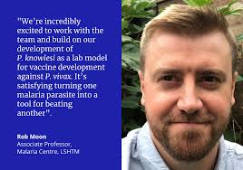 OptiViVax: New consortium to revolutionize vaccination against Plasmodium  vivax