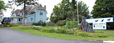 Pet portal is our online pet management site. About Our Clinic Animal Medical Center Of Traverse City