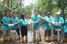 Komitmen Jaga Kawasan Pesisir, IWIP Ajak Masyarakat Tanam 5.000 Bibit  Mangrove