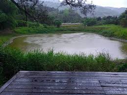 親愛的使用者，您好： 配合本院進行「教育部雲端資料中心臨時發電機安裝工程」， 本網站於107年1月26日(五)晚上7點 ~ 1月27日(六)晚上10點暫停服務。 造成不便敬請見諒。 æ—¥é ­èµ¤ç„°ç„°å—é«˜å±å±±å€å°é›¨æ°´åº«é€²å¸³æœ‰é™ Khaohot Pro