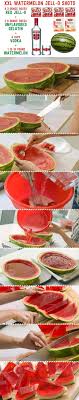 Here S How To Make Xxl Watermelon Jell O Shots Shot Recipes Jello Shot Recipes Jell O