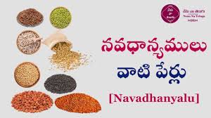 à°¨à°µà°§ à°¨ à°¯à°® à°² à°µ à° à°ª à°° à°² Navadhanyalu Youtube By mastering essential everyday terms like food and water use telugu workbooks or websites build a list of common nouns, such as the following:1. à°¨à°µà°§ à°¨ à°¯à°® à°² à°µ à° à°ª à°° à°² navadhanyalu