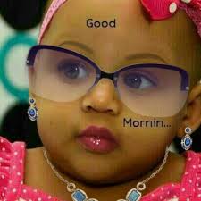 Cheaper dairy cow feed alternatives for higher milk production