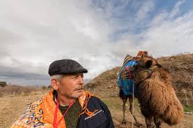 When the war came in 2011, khalil was already a hardened working man while i was finishing my last year of. 436 Dressed Camel Photos Free Royalty Free Stock Photos From Dreamstime
