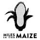 Miles in the Maize event image