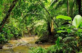 The End Of The Road Capurgana Sapzurro Darien Gap