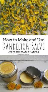 How To Make Dandelion Salve Simple Mom Review Recipe Herbal Recipes Dandelion Recipes Salve Recipes
