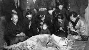 Hachiko ein wunderbare film ich sag nur schaut es euch an, wen nicht dann verpasst ihr was. Hachiko Der Treueste Hund Der Welt Der Spiegel