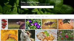Gratis Rechtenvrije Foto S De 5 Beste Websites To Be Found