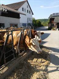 pin auf mein freiluftfunke