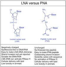 We did not find results for: Locked Nucleic Acid Lna Fine Tuning The Recognition Of Dna And Rna Sciencedirect
