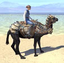 Bdo sailing sea monster hunting guide 2021. Eso Fashion Dragonscale Barded Camel Elder Scrolls Online