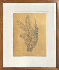 Bildergebnis für Olga Costa