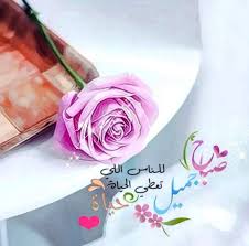صباح الخير Good Evening Wishes Morning Greeting Good Morning Photos