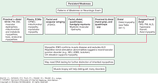 Muscular Dystrophies And Other Muscle Diseases Harrisons