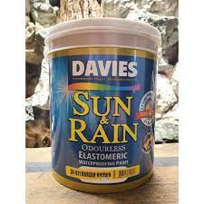 Rain Waterproofing Paint Elastomeric