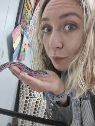 Let me share a 9-year old's explanation for animal species: "there are  animals with tails and animals without tails. And there is a snake