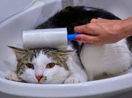 The best pet hair remover tool for clothes is a lint roller or a pet hair remover brush. The Best Lint Rollers For Pet Hair