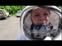 Bald face hornets nest treatment.