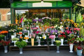 Do you just have to plant fruit and wait for the flowers to. Comparing Different Services For Flower Delivery Near Me Floraqueen