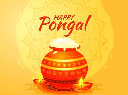 Pin On Pongal