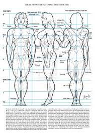 Women muscle female back muscles. Female Muscle Drawing