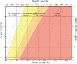 body mass index bmi calculator