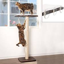 Any of the star trek characters played by 6'0.5/184 cm tall suzie plakson: Best Space Saving Cat Tree For Small Apartment Happy City Cat