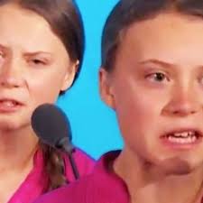 Though her words did not seem to move the leaders who spoke after her, her speech of only four and a half. Greta Thunberg How Dare You Prodbyggez By Gg Ez