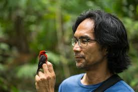 Rochester biologist Al Uy ventures to a remote archipelago in the South  Pacific every year to answer one of evolution's biggest mysteries: How do  species originate? Professor Uy's work is focused on