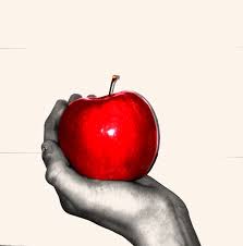 Hand Holding Apple And Yes Yes I Did Take This Picture Apple Art Hand Photography Bible Art Journaling