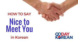 See a translation report copyright infringement; How To Say Nice To Meet You In Korean Say This