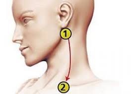 Alimente care scad / reglează tensiunea arterială. Metoda Minune Pentru Reglarea Tensiunii Arteriale In Numai 5 Minute