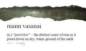 Spice Up Your Vocabulary With These Beautiful Words Imgur Weird Words Pretty Words Rare Words