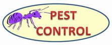 Get contact details or leave a review about this business. A E Pest Control Winder Pest Control Athens Pest Control Dacula Exterminator Termite Extermination Home