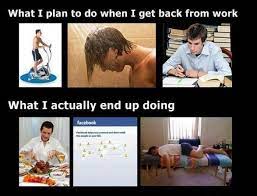 What I Plan To Do When I Get Home From Work Funny Funny Quotes Humor