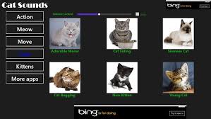 Play with the app on the floor in front of your cat. Top Five Windows 8 10 Game For Cats To Play