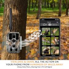 Cellular Trail Camera