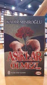 Bu kitap içerisinde atatürk ile ilgili ağır eleştiriler ve sözler yer aldığından dolayı hakkında dava açıldı. Asiklar Olmez Kadir Misiroglu Nadir Kitap