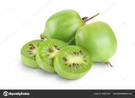 Image result for foto minikiwi