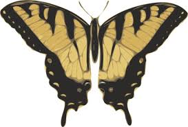 Free Free 136 Giant Butterfly Svg SVG PNG EPS DXF File