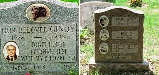10 minute to downtown buffalo and cheektowaga shopping.**no pets. A Local Pet Cemetery A National Historic Site
