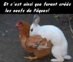 Résultat de recherche d'images pour "gifs amusants de Paques"