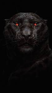 3d Black Panther Wallpaper Best Of Black Panther Glowing Eye Iphone Wallpaper Of 3d Black Pan In 2020 Jaguar Animal Black Panther Hd Wallpaper Dark Wallpaper