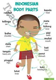 Insyaallah dengan mengamalkan ayat ini, migraine yang selalu berulang itu akan berkurangan dan akan sembuh dengan. Adeline Yeung Adelineyeung Profile Pinterest