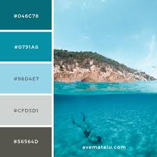Person Scuba Diving Color Palette 203 Ave Mateiu Color Palette Color Palette Bright Decor Color Palette