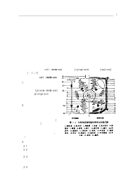The Ultimate Aphrodisiac-Unlocking the Power of Genetic Attraction