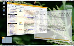 Image result for metisse mandriva