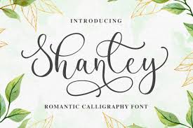 Create a free account to download them now. Beauty Handwritten Font Bundle 1008950 Handwritten Font Bundles
