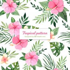 Download Free Tropical Summer Pattern With Watercolor Flowers Svg Dxf Eps Png Download Free Svg Psd Png Cut Files